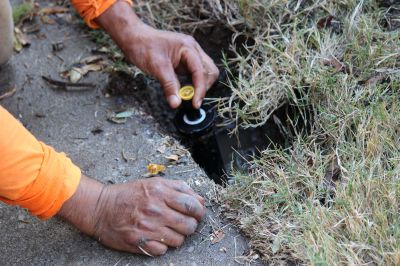 Sprinkler Blowout Service in Reno, NV