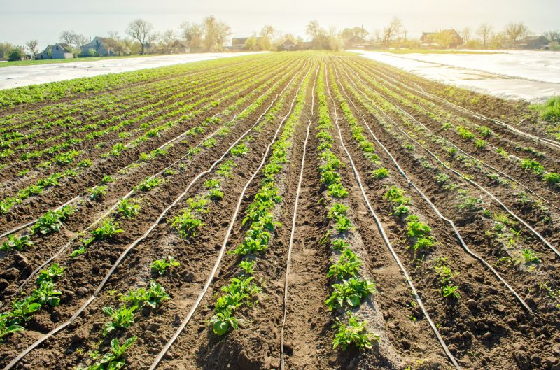 Underground Irrigation Service in Aiken, SC