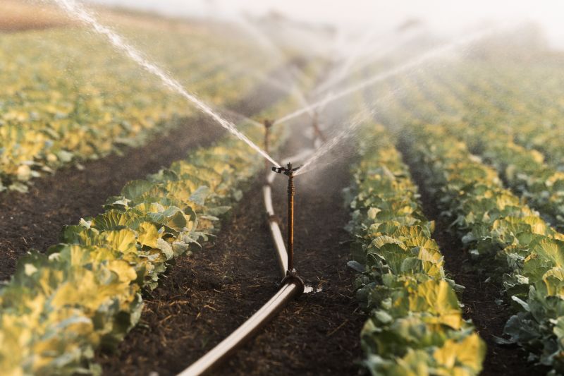 Commercial Irrigation Service in Honolulu, HI