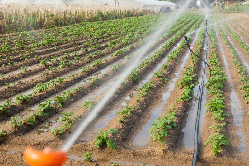 Commercial Irrigation Service in Ventura County, CA