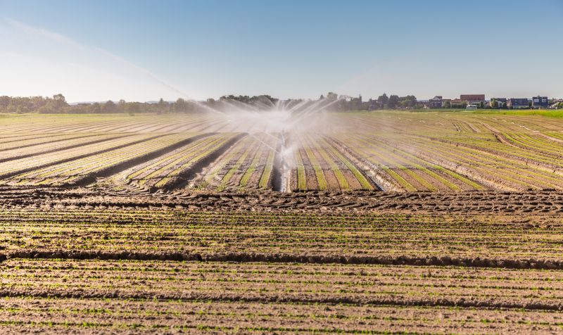 Field Irrigation Installation in Honolulu, HI