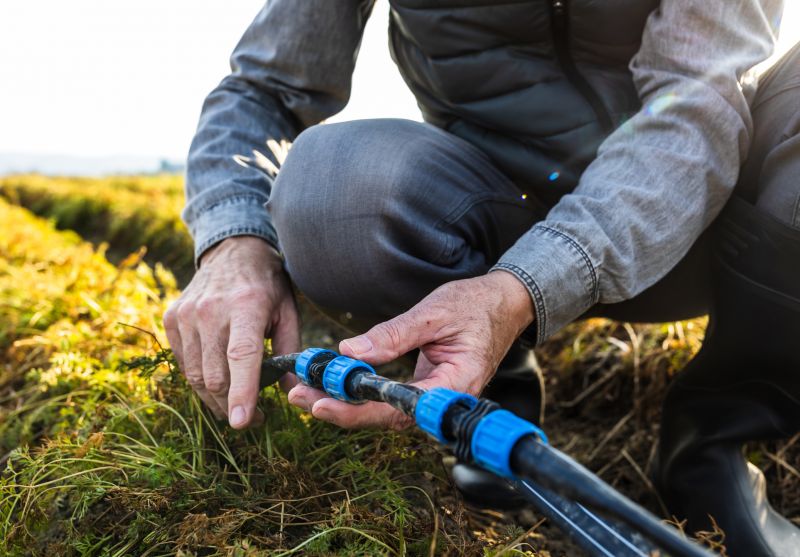 Irrigation Repair detail