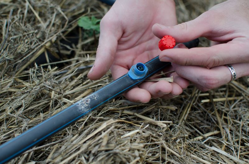 Irrigation Repair detail