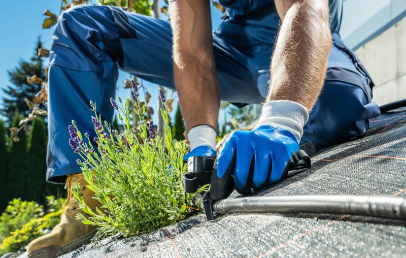Garden Irrigation Installation in Ventura County, CA