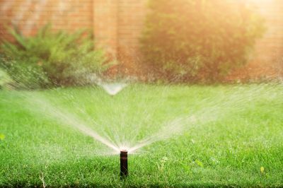 Grass Sprinkler Installation in Honolulu, HI