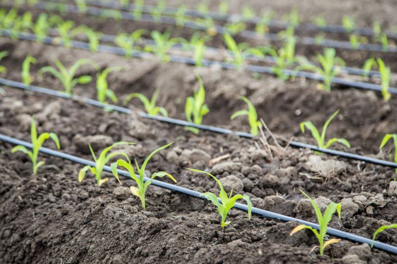 Inground Irrigation Service in Honolulu, HI