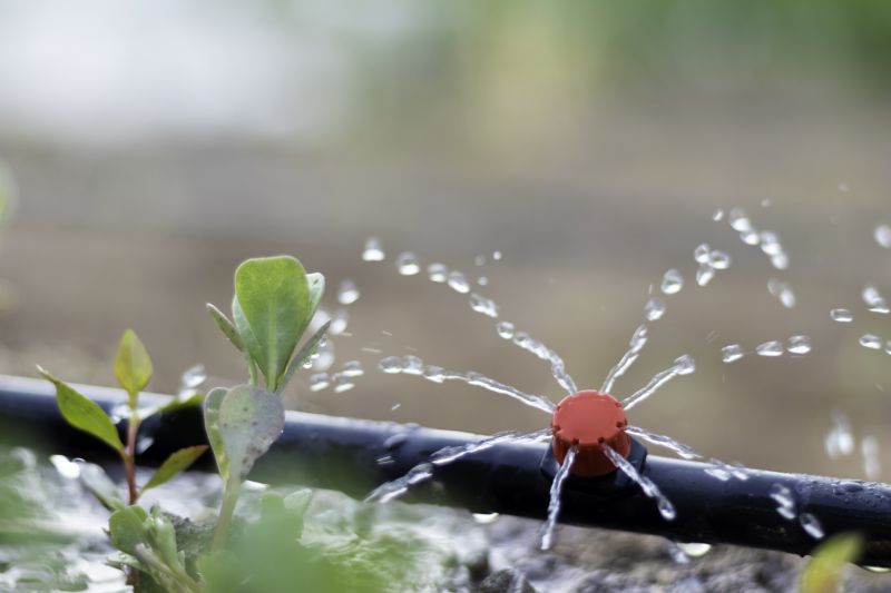Irrigation Installation in Ventura County, CA