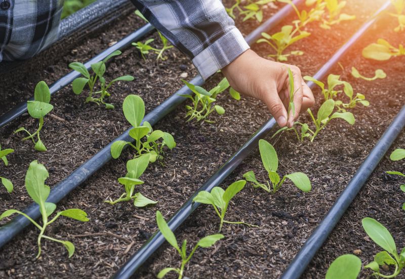 Irrigation Service in Aiken, SC