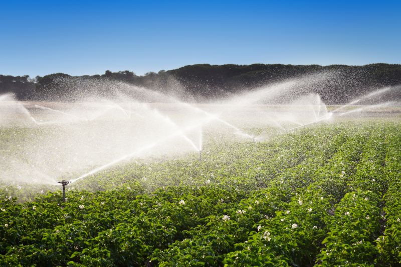 Irrigation Winterization in Carson City, NV