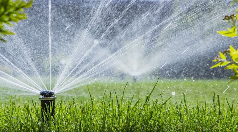 Lawn Sprinkler Replacement in Aiken, SC