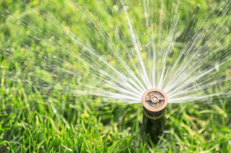 Lawn Sprinkler Replacement in Aiken, SC