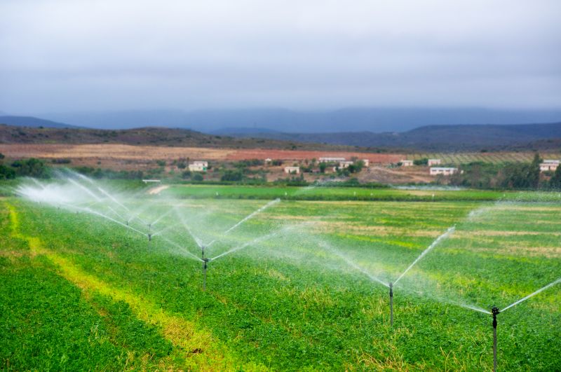 Mist Irrigation Installation in Aiken, SC