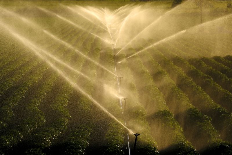 Mist Irrigation Installation in Ventura County, CA