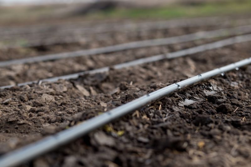 Mist Irrigation Installation in Ventura County, CA