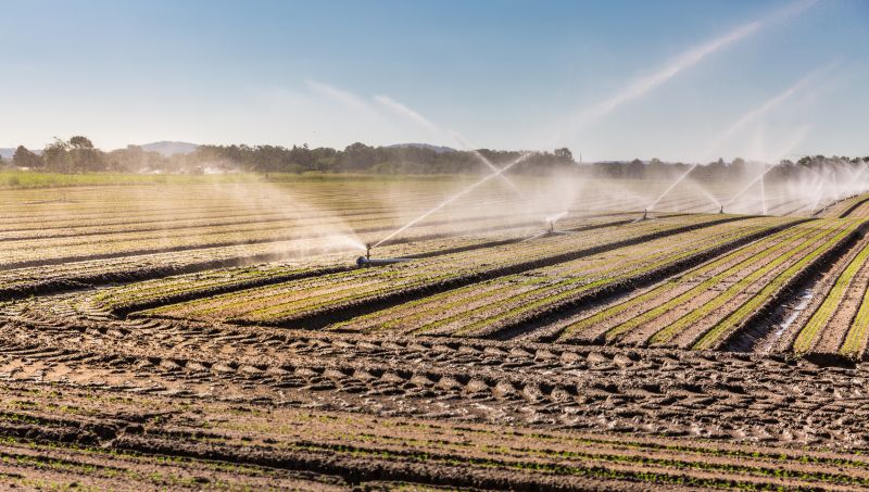 Mist Irrigation Installation in Honolulu, HI