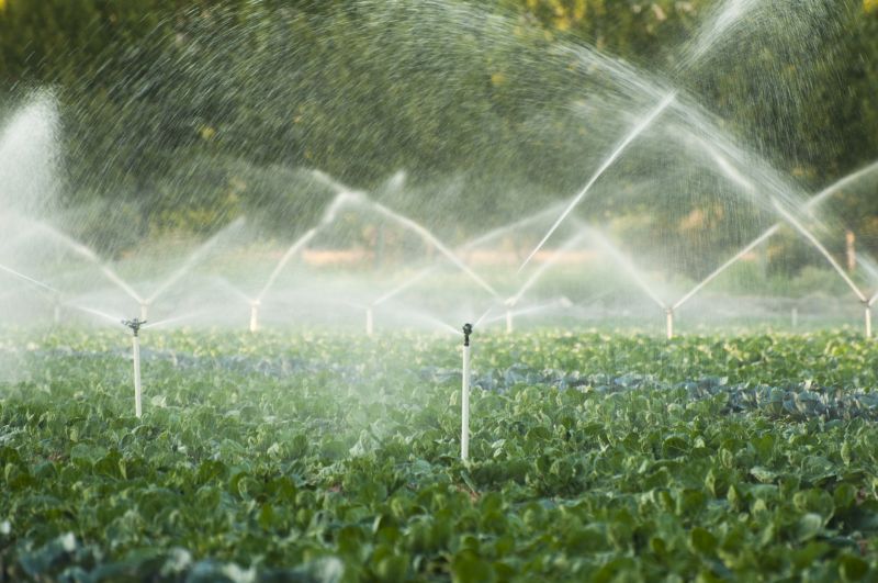 Plant Irrigation Installation in Honolulu, HI