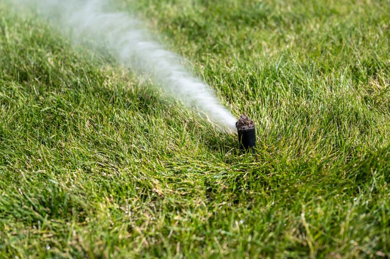 Sprinkler Blowout Service in Honolulu, HI