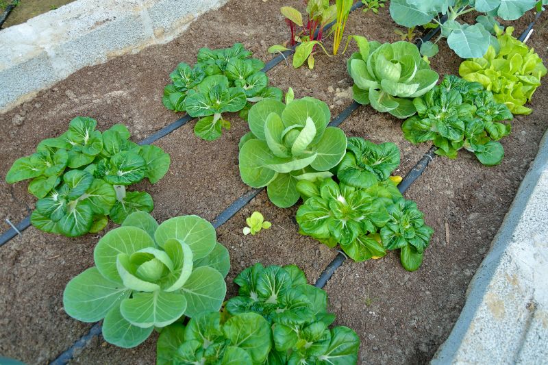 Underground Irrigation Service in Honolulu, HI