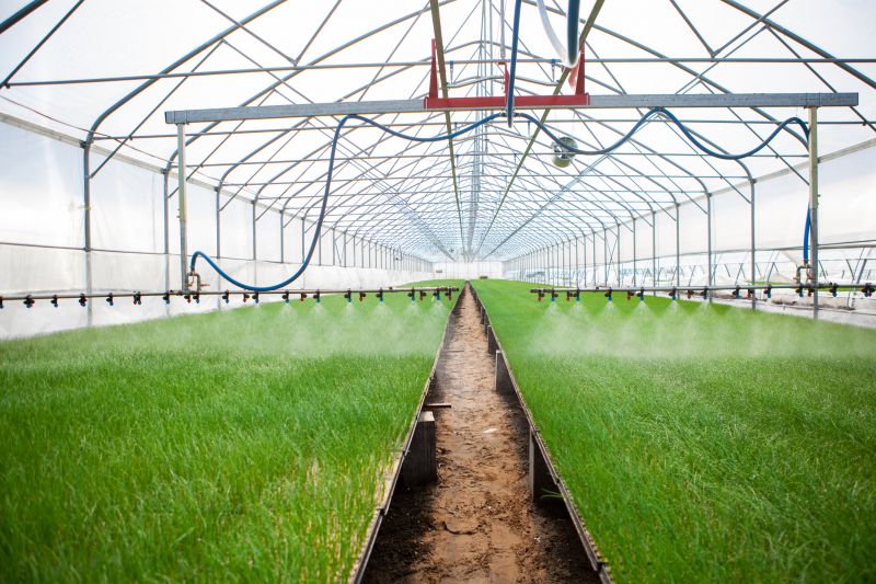Watering System Installation in Aiken, SC